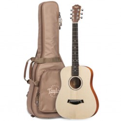 TAYLOR BT1E